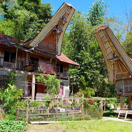 Ne Pakku Manja Family Home Rantepao Exteriér fotografie
